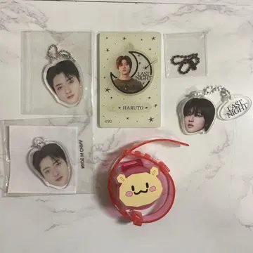 treasure 하르토 얼굴 아크링 키링 라이트 블레스 묶음 판매