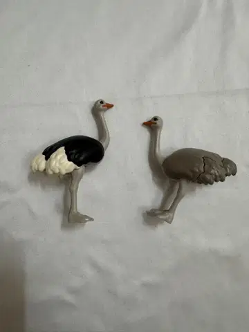 플레이모빌 타조