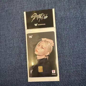 wowpass 와오패스 스키즈 stray kids 필릭스