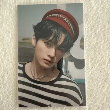 리노 트레이딩 카드
