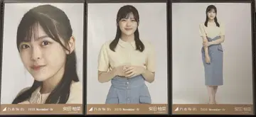 시바타 유즈나 브로마이드 니트 폴로 컴프