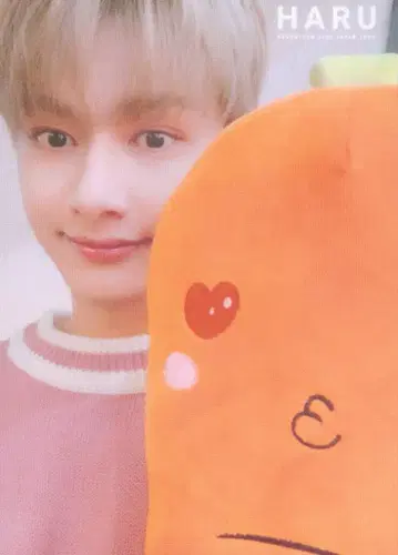 SEVENTEEN 2019 HARU JUN 트레이딩 카드 0038