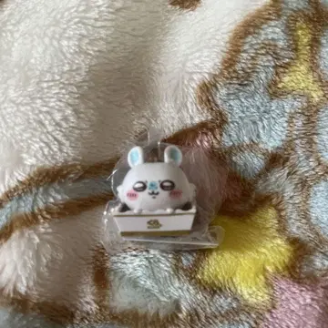 치이카와 쿠라스시 콜라보 모몽가 피규어