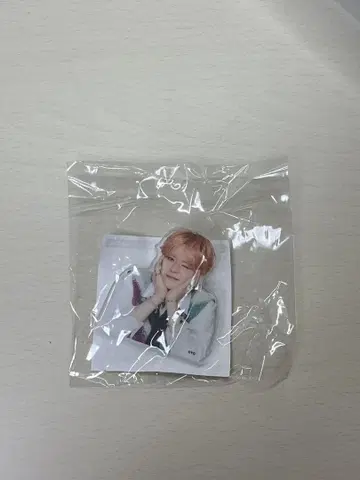 treasure 팬 콘 캡슐 토이 클립 요시