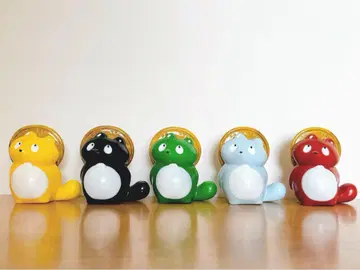 멍청한 너구리 5마리 세트