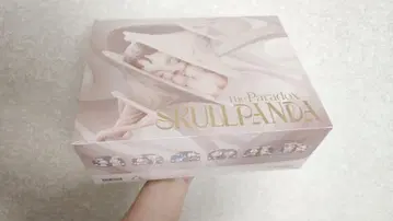 SKULLPANDA The Paradox 시리즈 모듬 박스