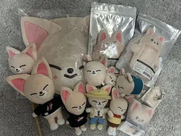 아이엔 굿즈 묶음 판매, 낱개 판매 가능