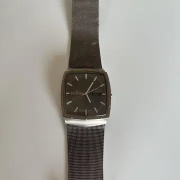SKAGEN 스카겐 396LTTM 메쉬