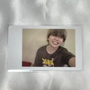 아즈 성탄제 하피카 팬더드래곤