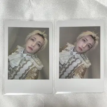 팬더드래곤 요우타 하피카