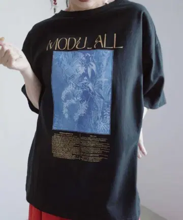 ameri vintage 24SS CONCEPT PRINT TEE