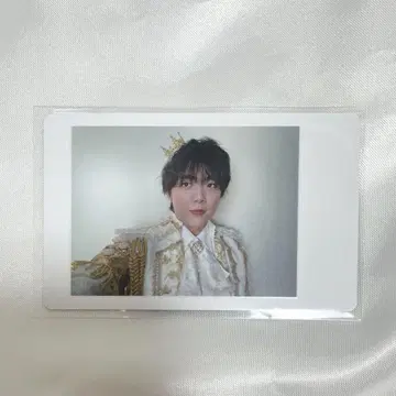 팬더 드래곤 나기 하피카