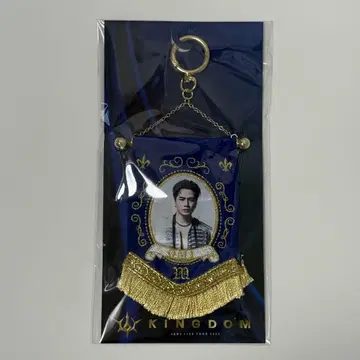 KINGDOM 비주얼 미니 태피스트리 토사카 히로오미 OMI 키링