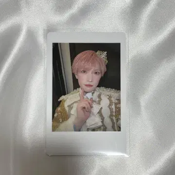 팬더 드래곤 타이 가 하피카