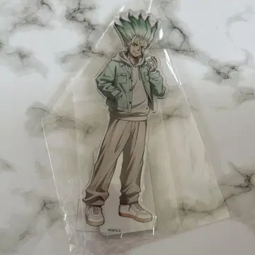 Dr.STONE 닥터 스톤 이시가미 치쿠사 믹스 정원