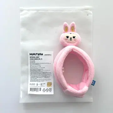 SEVENTEEN MINITEEN 정한 응원봉 커버
