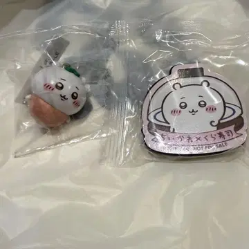 치이카와 쿠라스시 장수풍뎅이