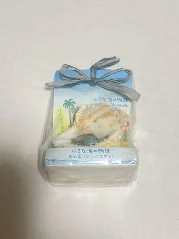 Splash 오키나와 징베상어 조개 껍데기 집