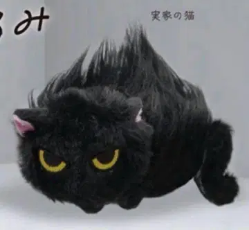 가챠 곁을 안 주는 고양이 봉제 인형 친정 고양이 검은 고양이