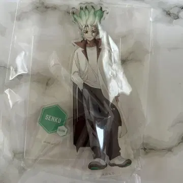 Dr.STONE 닥터 스톤 이시가미 치쿠