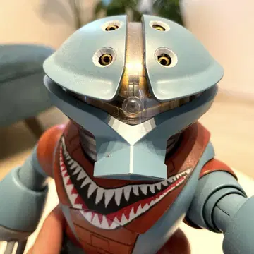 GUNPLA 건담 프라모델 페인팅 완료품 MG MSM-04 아가이