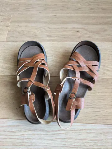 리게타 카누 글래디에이터 브라운