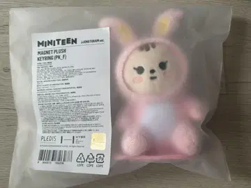 SEVENTEEN MINITEEN 정한 트라무