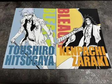 BLEACH 블리치 아트 카드 컬렉션 히츠가야 토시로, 자라키 켄파치