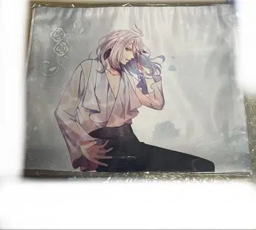 디어라바 쿠션 커버 월파 카를라 복권