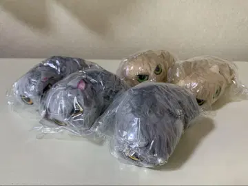 나츠카이 고양이 봉제 인형 5개 세트