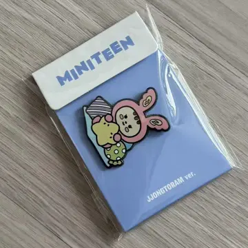 seventeen MINITEEN 팝업 PIN 배지 정한
