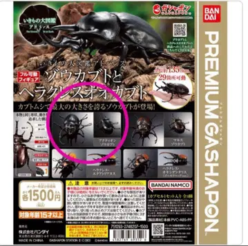생물대도감 프리미엄 가챠 액티온조 가부토