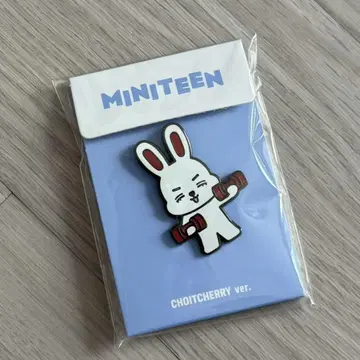 seventeen MINITEEN 팝업 PIN 배지 에스크