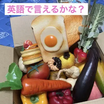 식품 샘플 음식 세트