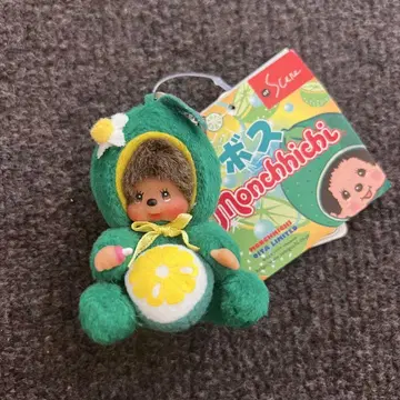 몬치치 오이타 카보스
