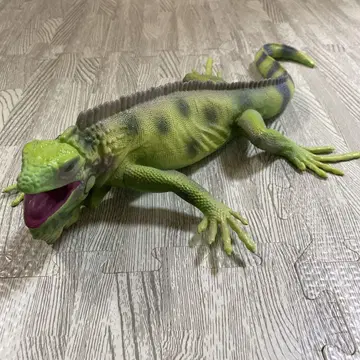리얼 이구아나 피규어 약 30cm