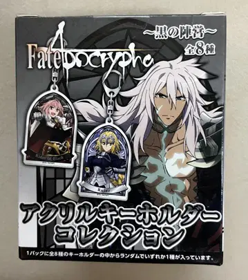 Fate/Apocrypha 블랙 진영 아크릴 키링 컬렉션 BOX