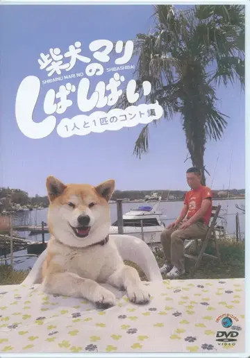 버라이어티 DVD 시바견 마리의 시바이 1명과 1마리의 콩트 모음집