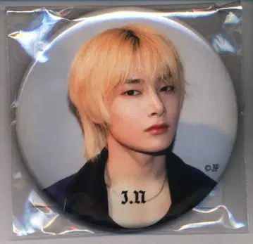 StrayKids 2024 dominATE JAPAN I.N 캔뱃지