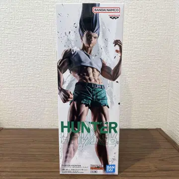헌터x헌터 곤 프리크스 피규어