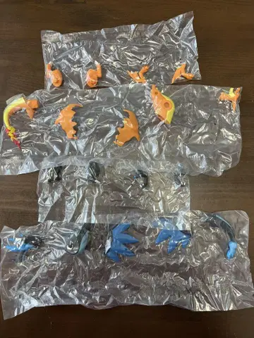 포켓몬스터 조립 가동! 메가리자몽