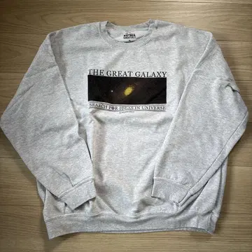 THE GREAT GALAXY 트레이닝복 L 사이즈 그레이