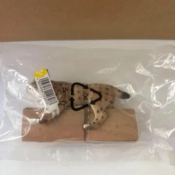 슐라이히 단종 오야마네코 여성