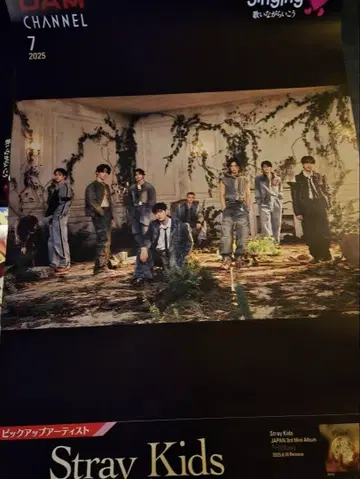 StrayKids 새상품 포스터 B2 사이즈