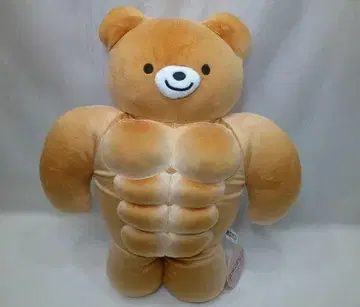 근육 곰 빵 BIG 봉제 인형