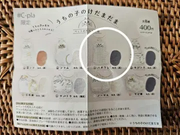 가챠가챠 우리 아이의 털뭉치 하치와레
