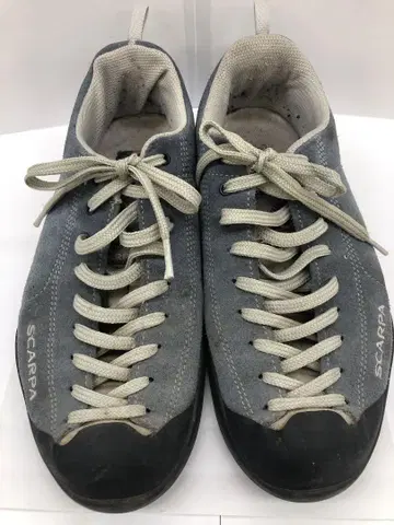 스컬파/모히토 25cm