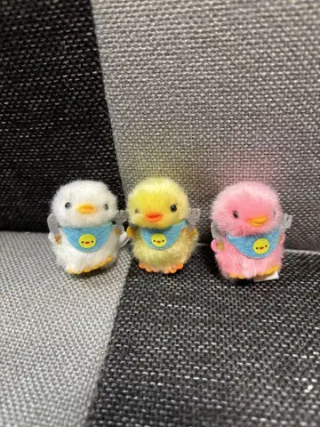 피요리나 병아리의 덕분 점심 병아리 컴플리트