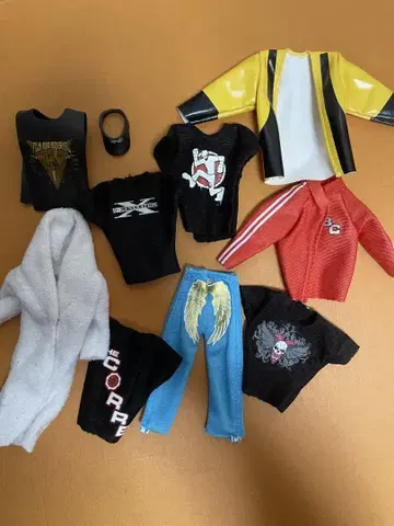 WWE 피규어용 잡화