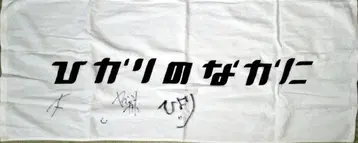 빛 속에 사인 포함 타월